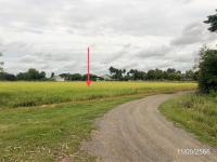 อาคารโรงงานหลุดจำนอง ธ.ธนาคารกสิกรไทย พิจิตร ตะพานหิน ห้วยเกตุ