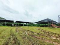 อาคารโรงงานหลุดจำนอง ธ.ธนาคารกสิกรไทย นครศรีธรรมราช ฉวาง จันดี