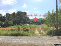 อาคารสำนักงานหลุดจำนอง ธ.ธนาคารกสิกรไทย นครศรีธรรมราช ทุ่งสง เขาโร