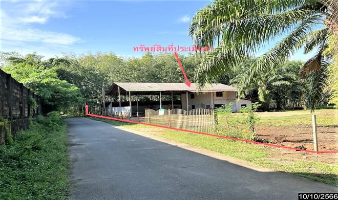 โกดังหลุดจำนอง ธ.ธนาคารกสิกรไทย ตรัง ห้วยยอด เขาขาว