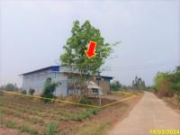 โกดังหลุดจำนอง ธ.ธนาคารกสิกรไทย หนองบัวลำภู ศรีบุญเรือง หันนางาม