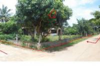 บ้านครึ่งตึกครึ่งไม้หลุดจำนอง ธ.ธนาคารไทยพาณิชย์ •กาฬสินธุ์ •เมืองกาฬสินธุ์ •ขมิ้น
