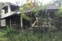 บ้านพร้อมกิจการหลุดจำนอง ธ.ธนาคารไทยพาณิชย์ •บึงกาฬ •เซกา •เซกา