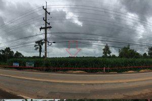 ที่ดินว่างเปล่าหลุดจำนอง ธ.ธนาคารไทยพาณิชย์ ยโสธร ป่าติ้ว เชียงเพ็ง